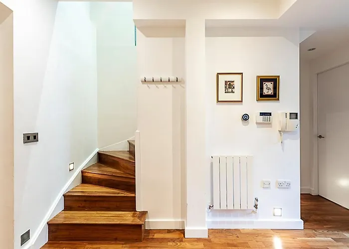 Luxury And Modern Bayswater Apartment